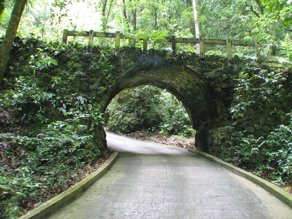 Parque de las Cavernas del Río Camuy